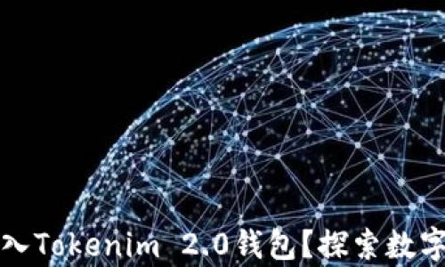 
比特币是否可以存入Tokenim 2.0钱包？探索数字资产存储的新选择