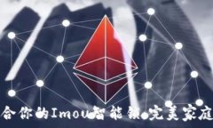   如何选择最适合你的Imou智能锁：完美家庭安全