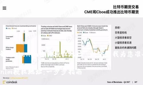 为了更好地理解“tokenim查询授权地址”，以下是我为您准备的内容大纲。

如何查询Tokenim授权地址：一步步指南