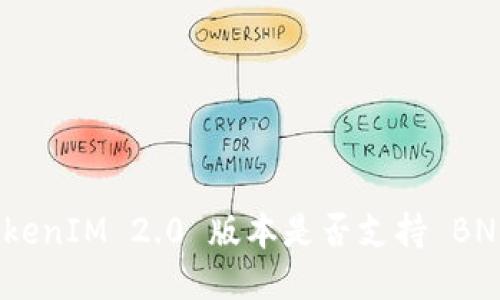 TokenIM 2.0 版本是否支持 BNB？