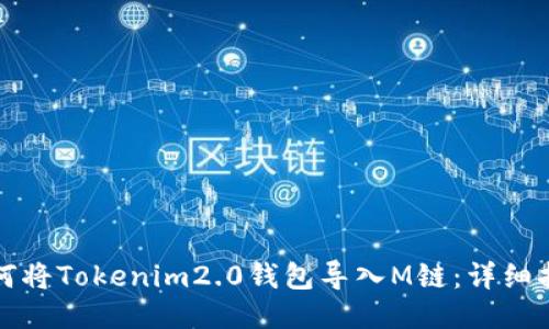 如何将Tokenim2.0钱包导入M链：详细指南