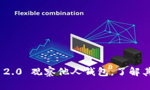如何通过Tokenim 2.0 观察他人钱包，了解其对自己的投资潜力
