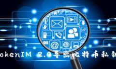 如何使用TokenIM 2.0导出比特币私钥：完整指南