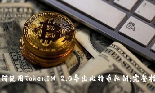 如何使用TokenIM 2.0导出比特币私钥：完整指南