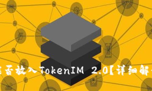 ### Pi币能否放入TokenIM 2.0？详细解读与使用指南