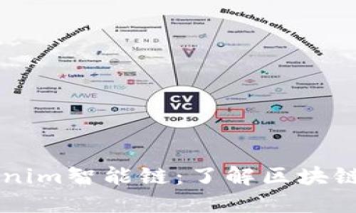 ### Tokenim智能链：了解区块链技术的未来