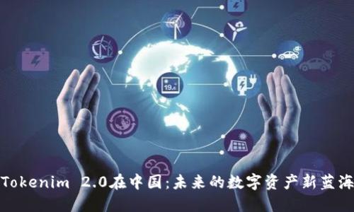 Tokenim 2.0在中国：未来的数字资产新蓝海