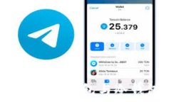  什么是Tokenim？热钱包与冷钱包的区别详解