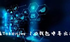 如何在Tokenim 1.0钱包中导出助记词
