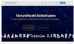 手机丢失后如何保护Tokenim 2.0钱包的资产安全