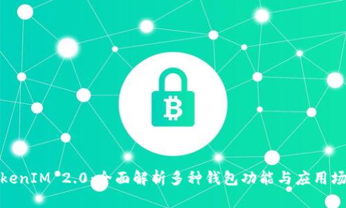 TokenIM 2.0：全面解析多种钱包功能与应用场景