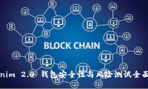 Tokenim 2.0 钱包安全性与风险测试全面指南