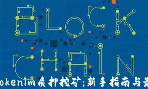 
DPL在Tokenim质押挖矿：新手指南与最佳实践