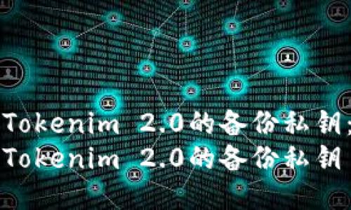 如何查找Tokenim 2.0的备份私钥：全面指南
如何查找Tokenim 2.0的备份私钥