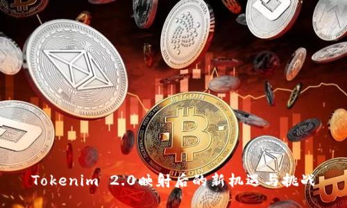 Tokenim 2.0映射后的新机遇与挑战