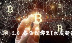 ### TokenIM 2.0 备份到哪里？权威解读与使用指南