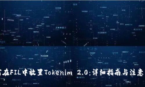 如何在FIL中放置Tokenim 2.0：详细指南与注意事项