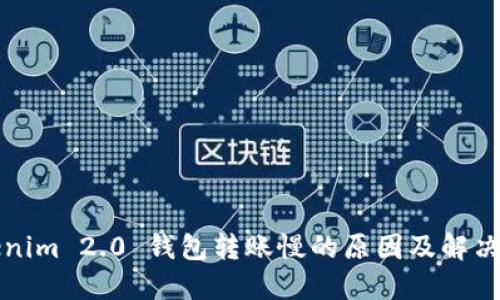 Tokenim 2.0 钱包转账慢的原因及解决方法