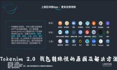 Tokenim 2.0 钱包转账慢的原因及解决方法