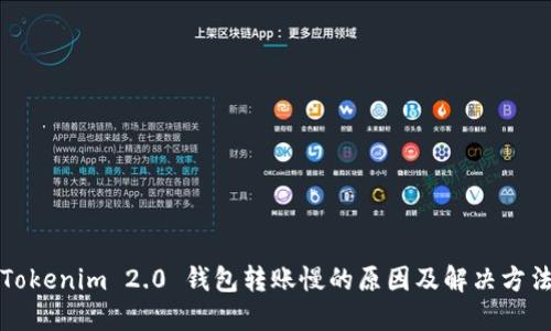 Tokenim 2.0 钱包转账慢的原因及解决方法