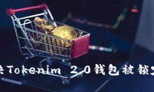 如何解决Tokenim 2.0钱包被锁定的问题
