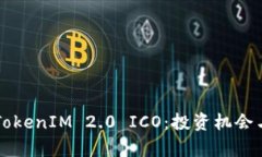 深入了解TokenIM 2.0 ICO：投资机会与风险分析