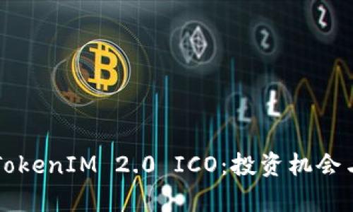 深入了解TokenIM 2.0 ICO：投资机会与风险分析