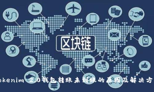 Tokenim 2.0钱包转账未到账的原因及解决方法