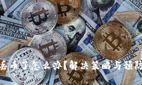 TokenIM丢币了怎么办？解决策略与预防措施详解