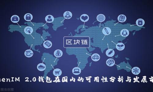 TokenIM 2.0钱包在国内的可用性分析与发展前景