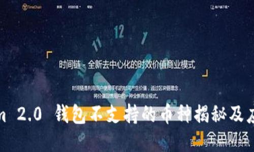 Tokenim 2.0 钱包不支持的币种揭秘及应对策略