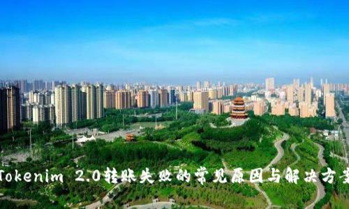 Tokenim 2.0转账失败的常见原因与解决方案