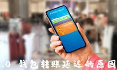 Tokenim 2.0 钱包转账延迟的原因及解决办法