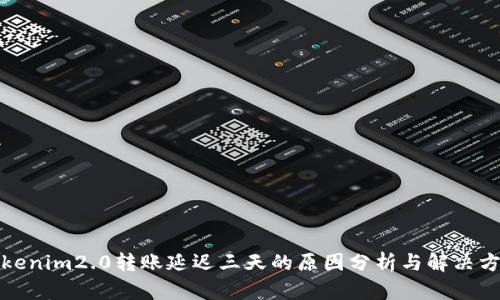 Tokenim2.0转账延迟三天的原因分析与解决方案
