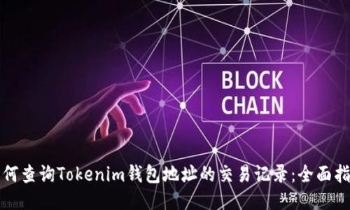 如何查询Tokenim钱包地址的交易记录：全面指南
