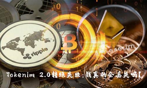 Tokenim 2.0转账失败：钱真的会丢失吗？