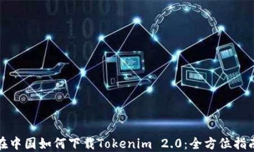 
在中国如何下载Tokenim 2.0：全方位指南