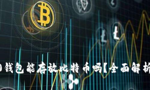 Tokenim2.0钱包能存放比特币吗？全面解析与使用指南
