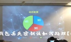 Tokenim 2.0 钱包丢失密钥该如何处理？解决方案与