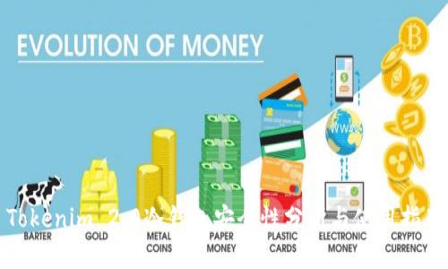 Tokenim 2.0冷钱包安全性分析与使用指南