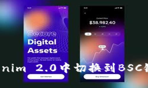 如何在Tokenim 2.0中切换到BSC链？详细指南