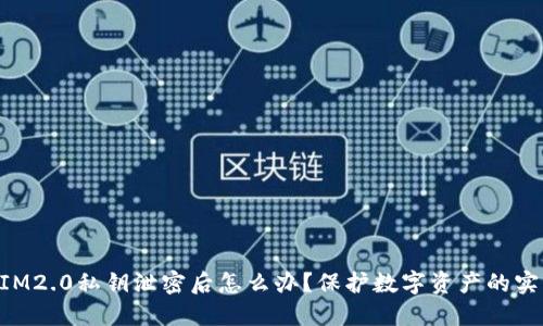 TokenIM2.0私钥泄密后怎么办？保护数字资产的实用指南
