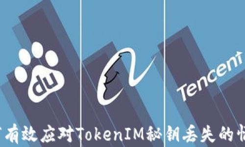 
如何有效应对TokenIM秘钥丢失的情况？