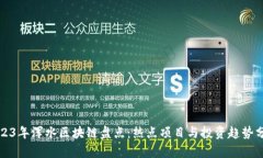 2023年浑水区块链盘点：热点项目与投资趋势分析