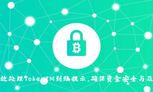 如何有效处理TokenIM到账提示，确保资金安全与及时到账