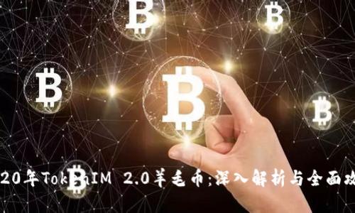 2020年TokenIM 2.0羊毛币：深入解析与全面攻略
