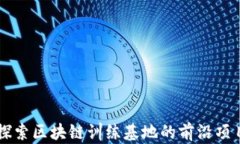 探索区块链训练基地的前沿项目
