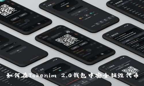 如何在Tokenim 2.0钱包中安全销毁代币