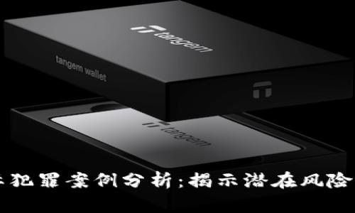 区块链国际犯罪案例分析：揭示潜在风险与法律挑战