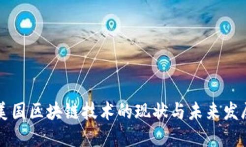 美国区块链技术的现状与未来发展